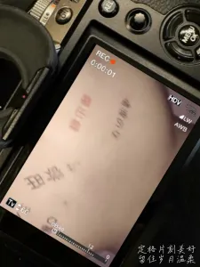 騷母狗