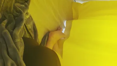 脾氣不好的白虎