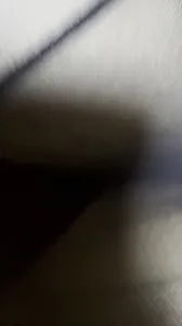 道具雙龍入洞蝴蝶逼