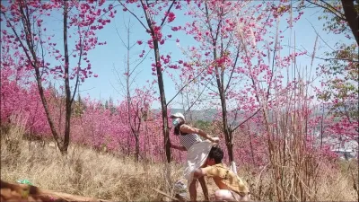 昆明野戰搭子