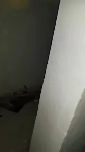 和房東阿姐的故事