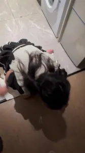 18歲小母狗女僕裝第一次被調教全網最嫩的原創