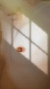 熟婦