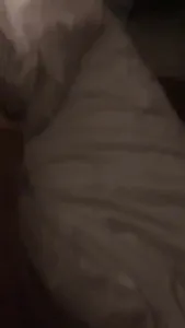 母狗，你會求饒嗎？