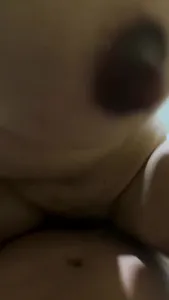 印度尼西亞大花馬