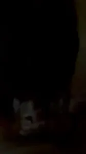 試試常州咯咯噠的口活